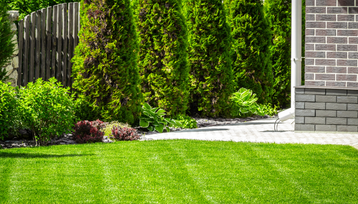 tuinadvies bij leden