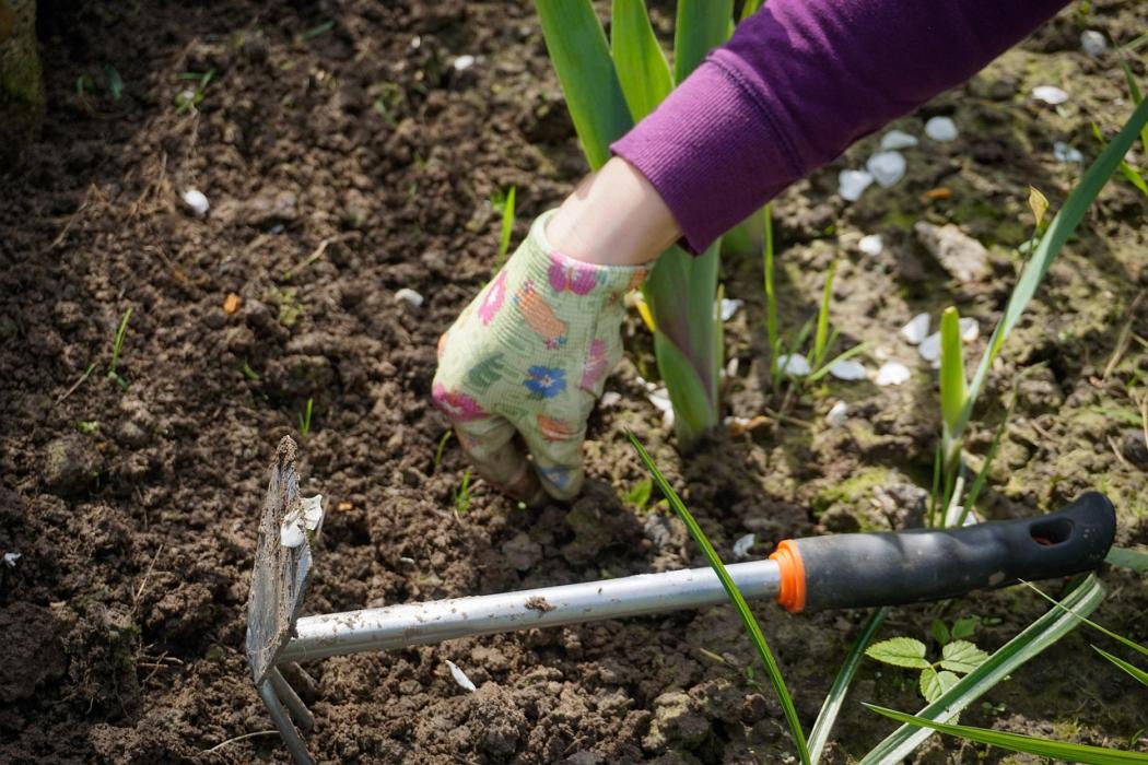 Tuinadvies